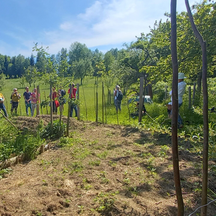 Pokročilý kurz JEDLÁ LESNÍ ZAHRADA v&nbsp;Jindřichovicích pod Smrkem
